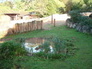 DSC05849