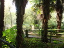 DSC05853