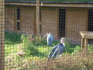 DSC05861