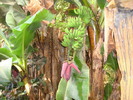 DSC05864