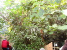 DSC05866