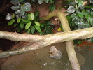 DSC05867