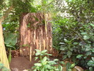DSC05868