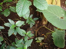 DSC05870