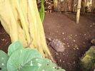 DSC05871