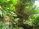 DSC05873