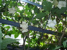 DSC05875