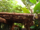 DSC05876