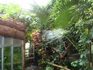DSC05877