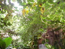 DSC05879