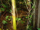 DSC05880