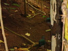 DSC05881