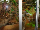 DSC05882