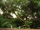 DSC05884
