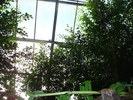DSC05886