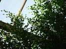 DSC05887