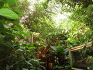 DSC05888