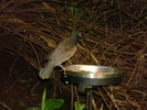 DSC05890
