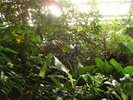 DSC05891