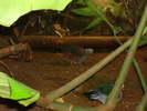 DSC05895