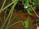 DSC05896