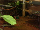 DSC05897