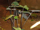 DSC05898