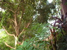 DSC05902