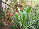 DSC05904