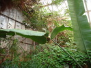 DSC05905