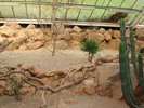 DSC05908