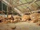 DSC05910