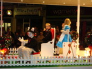 CARNAVAL (59)