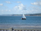 Oceanul (44)