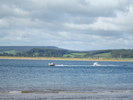 Oceanul (50)