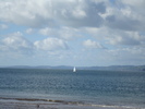 Oceanul (52)