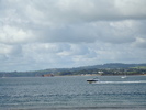 Oceanul (58)