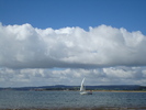 Oceanul (60)