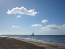 Oceanul (64)