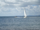Oceanul (65)