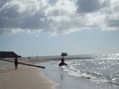 Oceanul (72)
