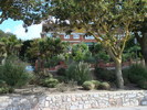 in exmouth (80)