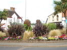 in exmouth (131)