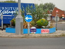 in exmouth (140)
