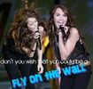 flyonthewall