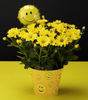 Yellow_Daisy_Smiley_Face_Tin_H