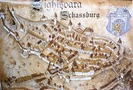 DSC01878