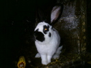DSC01019