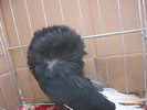 Picture 073