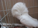 Picture 078